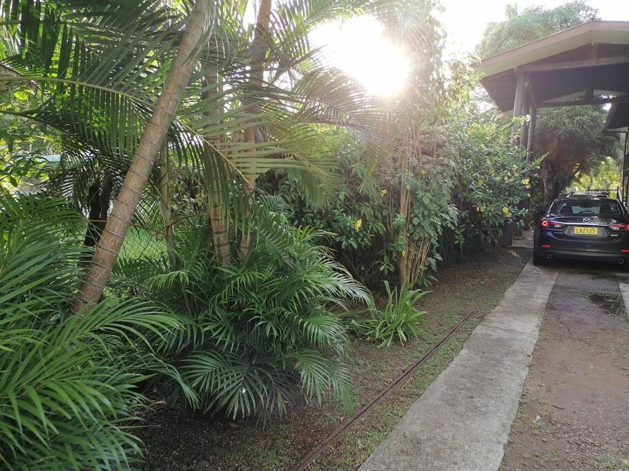 Private Nasoso 4 Bedroom House Nadi Esterno foto